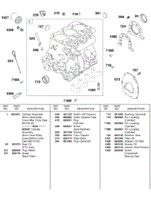 Cylinder, Oil, Back Plate parts for Briggs & Stratton Engine 437447-0205-E2 from AppliancePartsPros.com