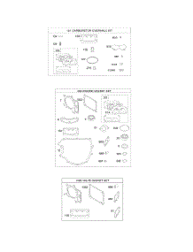 Carburetor Overhaul Kit, Engine / Valve Gasket Sets parts for Briggs & Stratton Engine 44L977-0001-G5 from AppliancePartsPros.com
