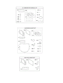 Gasket Set-Engine, Gasket Set-Valve, Kit-Carburetor Overhaul parts for Briggs & Stratton Engine 44M977-0110-G5 from AppliancePartsPros.com