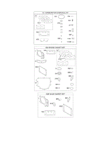 Engine / Valve Gasket Set, Carburetor Overhaul Kit parts for Briggs & Stratton Engine 44R777-0002-G1 from AppliancePartsPros.com