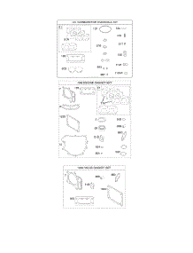 Engine / Valve Gasket Set, Carburetor Overhaul Kit parts for Briggs & Stratton Engine 44R877-0002-G1 from AppliancePartsPros.com