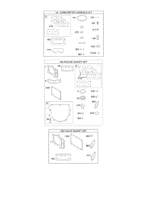 Engine / Valve Gasket Set, Carburetor Overhaul Kit parts for Briggs & Stratton Engine 44S977-0013-G1 from AppliancePartsPros.com