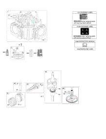 Camshaft, Crankshaft, Cylinder, Piston, Rings, Connectiong Rod parts for Briggs & Stratton Engine 49G575-0110-E1 from AppliancePartsPros.com