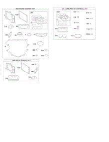 Engine / Valve Gasket Set, Carburetor Overhaul Kit parts for Briggs & Stratton Engine 49M877-0001-G5 from AppliancePartsPros.com