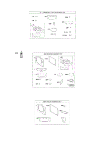 Engine / Valve Gasket Set, Carburetor Overhaul Kit parts for Briggs & Stratton Engine 49R977-0008-G1 from AppliancePartsPros.com