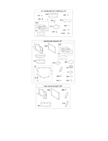 Engine / Valve Gasket Set, Carburetor Overhaul Kit parts for Briggs & Stratton Engine 49S777-0001-G1 from AppliancePartsPros.com