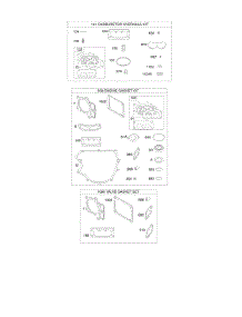Engine / Valve Gasket Set, Carburetor Overhaul Kit parts for Briggs & Stratton Engine 49S877-0003-G1 from AppliancePartsPros.com