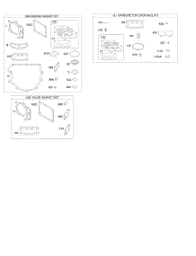 Engine / Valve Gasket Set, Carburetor Overhaul Kit parts for Briggs & Stratton Engine 49T777-0001-G1 from AppliancePartsPros.com