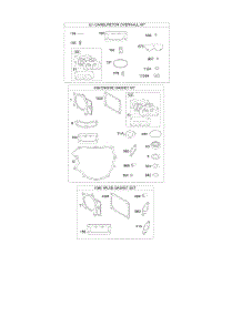 Engine / Valve Gasket Set, Carburetor Overhaul Kit parts for Briggs & Stratton Engine 49T877-0009-G1 from AppliancePartsPros.com