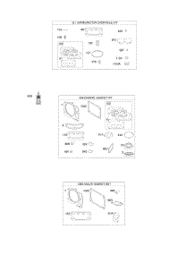 Engine / Valve Gasket Set, Carburetor Overhaul Kit parts for Briggs & Stratton Engine 49V677-0001-G1 from AppliancePartsPros.com