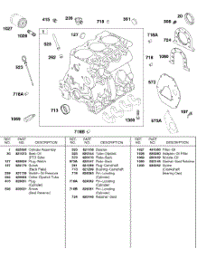 Cylinder, Oil, Back Plates parts for Briggs & Stratton Engine 589447-0305-E2 from AppliancePartsPros.com