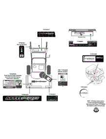 Label Map 31Ah65fh795 parts for Mtd Pro Snow Thrower 31AH65FH795 / 2010 from AppliancePartsPros.com