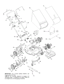 General Assembly (Plastic Rear Door) parts for Yard Machines Self-Propelled Walk-Behind Mower 12A-445E452 / 2003 from AppliancePartsPros.com