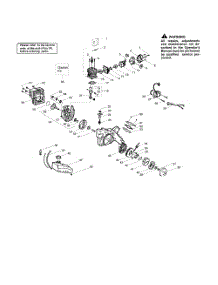 Cylinder  /  Crankshaft  /  Crankcase parts for Weedeater Edger PE550 TYPE 2 from AppliancePartsPros.com