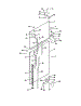 Door (Outer)