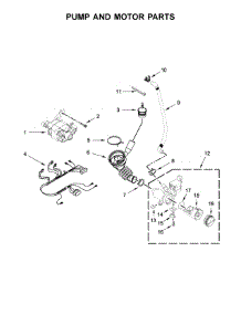 Pump And Motor Parts parts for Maytag Laundry Center MLG22PRAWW0 from AppliancePartsPros.com
