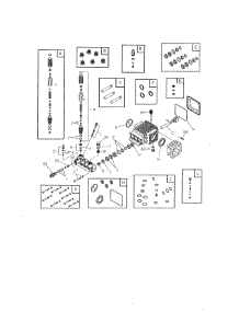 Pump parts for Briggs & Stratton Gas Pressure Washer 020467-0 from AppliancePartsPros.com