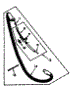 Hose Assembly