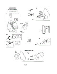 Cylinder / Crankshaft / Crankcase parts for Briggs & Stratton Lawn & Garden Engine 12E100 (0007-0268) from AppliancePartsPros.com