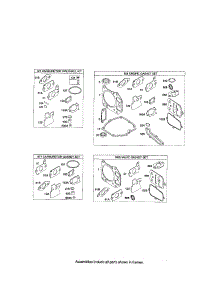 Gasket Kits / Carburetor Overhaul Kit parts for Briggs & Stratton Lawn & Garden Engine 12S500 (0005-3856) from AppliancePartsPros.com