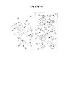 Carburetor parts for Cub Cadet Front-Engine Lawn Tractor 13A-254G712 from AppliancePartsPros.com