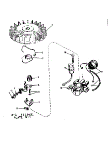 Magneto parts for Craftsman Lawn & Garden Engine 143125051 from AppliancePartsPros.com