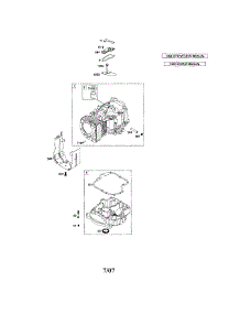 Cylinder / Sump parts for Briggs & Stratton Lawn & Garden Engine 219800 (0113-0421) from AppliancePartsPros.com