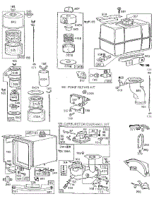 Pump Repair And Fuel Tank parts for Briggs & Stratton Lawn & Garden Engine 252400 TO 252499 (5071 - 5071) from AppliancePartsPros.com