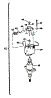 Motor Assembly