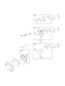 Carburetor parts for Briggs & Stratton Lawn & Garden Engine 25P132-0006-G1 from AppliancePartsPros.com