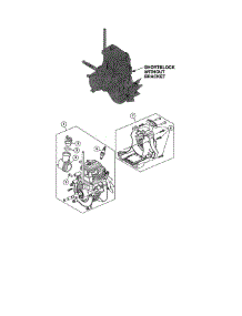 Shortblock parts for Craftsman Gas Line Trimmer 316731704 from AppliancePartsPros.com
