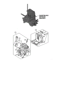 Shortblock parts for Craftsman Gas Line Trimmer 316731934 from AppliancePartsPros.com