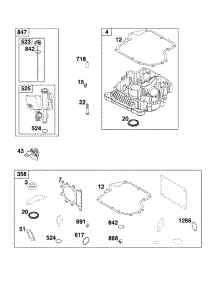 Crankcase Cover / Sump / Lubrication parts for Briggs & Stratton Lawn & Garden Engine 31R907-0062-G1 from AppliancePartsPros.com