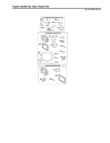 Engine & Valve Gasket Sets parts for Briggs & Stratton Lawn & Garden Engine 40N877-0016-G1 from AppliancePartsPros.com