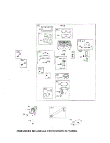 Carburetor parts for Briggs & Stratton Lawn & Garden Engine 445677-0955-G5 from AppliancePartsPros.com