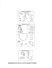 Gasket Sets parts for Briggs & Stratton Lawn & Garden Engine 445677-0955-G5 from AppliancePartsPros.com
