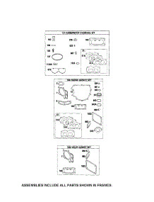 Gasket Sets parts for Briggs & Stratton Lawn & Garden Engine 44M777-0790-E1 from AppliancePartsPros.com