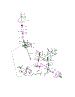 Steering Assembly
