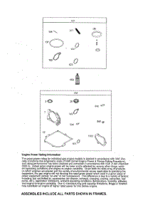Gasket Sets parts for Briggs & Stratton Lawn & Garden Engine 93J02-0022-F1 from AppliancePartsPros.com