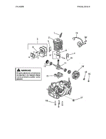Cylinder Parts parts for Poulan Gas Chainsaw 967063801 from AppliancePartsPros.com