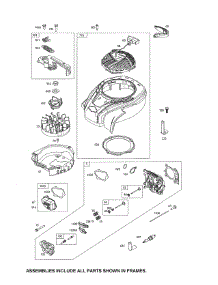 Head-Cylinder / Rewind Kit parts for Briggs & Stratton Lawn & Garden Engine 9P702-0166-F1 from AppliancePartsPros.com
