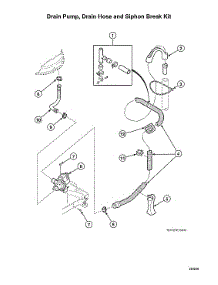 Drain Pump / Drain Hose / Siphon Break Kit parts for Speed Queen Washer AWN63RSN116TW01 from AppliancePartsPros.com