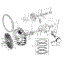 Crankshaft - Flywheel, Camshaft And Piston Group