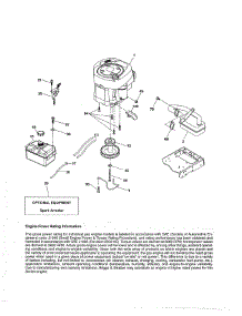 Engine parts for Poulan Front-Engine Lawn Tractor PB175A46 (96042015300) from AppliancePartsPros.com