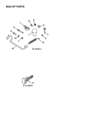 Bag Of Parts parts for Husqvarna Gas Snowblower ST224-970528602 from AppliancePartsPros.com