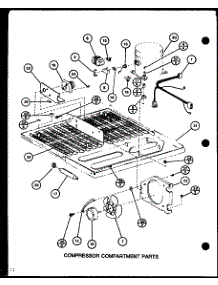 Compressor Compartment Parts (Tm18h / P7711005w) (Tm18h / P7711006w) (Tr18h / P7711007w) (Tr18h / P7711008w) (Tc18h / P7711009w) (Tc18h / P7711010w) parts for Amana Top-Mount Refrigerator TM16H-P7711001W from AppliancePartsPros.com