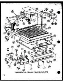Refrigerator Freezer Functional Parts (Tm16n / P1102101w) (Tm16n / P1102102w) (Tm16n1 / P1102116w) (Tm16n1 / P1102117w) parts for Amana Top-Mount Refrigerator TM16N-P1102101W from AppliancePartsPros.com