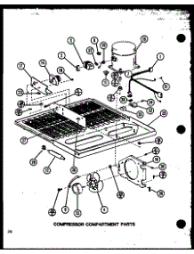 Compressor Compartment Parts (Tm18n / P1102103w) (Tm18n / P1102104w) parts for Amana Top-Mount Refrigerator TM18N-P1102104W from AppliancePartsPros.com