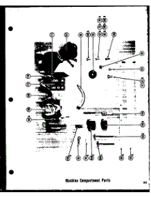 Machine Compartment Parts (Tr-19D) (Tr-19Ld) (Tci-19D) (Tci-19Ld) parts for Amana Top-Mount Refrigerator TRI-17LD-1 from AppliancePartsPros.com