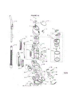 Fantom Cyclone parts for Iona Upright Vacuum XT51 from AppliancePartsPros.com